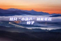 掛只“小葫蘆”就能驅(qū)趕蚊子