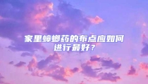 家里蟑螂藥的布點(diǎn)應(yīng)如何進(jìn)行最好？