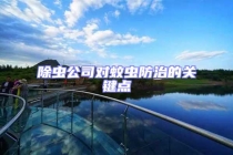 除蟲公司對蚊蟲防治的關(guān)鍵點(diǎn)