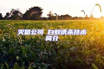 滅鼠公司 白蟻誘殺技術(shù)簡(jiǎn)介