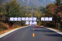 除蟲公司告訴您，有跳蚤怎么辦