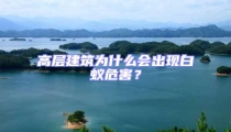 高層建筑為什么會出現(xiàn)白蟻危害？