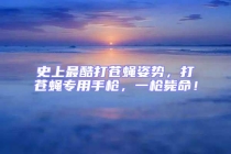 史上最酷打蒼蠅姿勢(shì)，打蒼蠅專用手槍，一槍斃命！