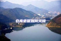 倉庫老鼠如何滅除