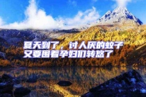 夏天到了，討人厭的蚊子又要圍著孕婦們轉(zhuǎn)悠了