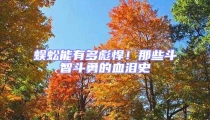 蜈蚣能有多彪悍！那些斗智斗勇的血淚史