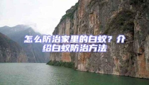 怎么防治家里的白蟻？介紹白蟻防治方法
