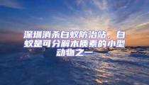 深圳消殺白蟻防治站，白蟻是可分解木質(zhì)素的小型動物之一