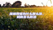 深圳臭蟲(chóng)為什么那么多，到底怎么防治