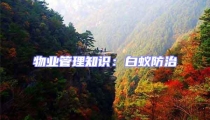 物業(yè)管理知識(shí)：白蟻防治