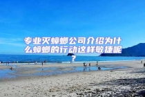 專業(yè)滅蟑螂公司介紹為什么蟑螂的行動這樣敏捷呢？