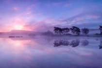 深圳殺臭蟲(chóng)——步驟