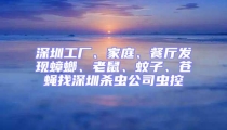 深圳工廠、家庭、餐廳發(fā)現(xiàn)蟑螂、老鼠、蚊子、蒼蠅找深圳殺蟲公司蟲控