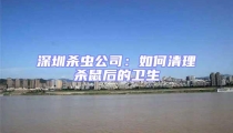 深圳殺蟲公司：如何清理殺鼠后的衛(wèi)生