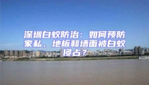 深圳白蟻防治：如何預防家私、地板和墻面被白蟻侵占？