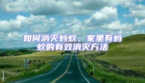 如何消滅螞蟻，家里有螞蟻的有效消滅方法