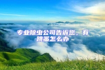 專業(yè)除蟲公司告訴您，有跳蚤怎么辦