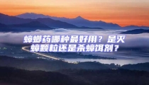 蟑螂藥哪種最好用？是滅蟑顆粒還是殺蟑餌劑？
