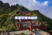 家居滅蟑小知識(shí)