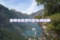 家用電器里可能布滿蟑螂