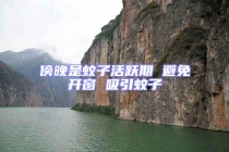 傍晚是蚊子活躍期 避免開窗 吸引蚊子