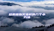 盆栽植物滅蟲蟻的幾個(gè)小方法