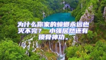 為什么你家的蟑螂永遠(yuǎn)也滅不完？ 小強(qiáng)居然還有鎖骨神功。