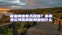 吸血臭蟲有天敵嗎？殺臭蟲公司告訴你臭蟲怕什么