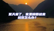 夏天來了，家里蟑螂越來越多怎么辦？