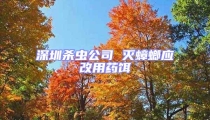 深圳殺蟲公司 滅蟑螂應改用藥餌