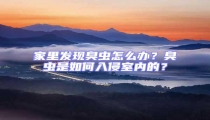 家里發(fā)現(xiàn)臭蟲怎么辦？臭蟲是如何入侵室內(nèi)的？