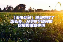 【殺蟲公司】被臭蟲咬了怎么辦，分享5個(gè)被臭蟲咬后的注意事項(xiàng)