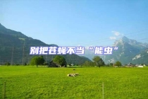 別把蒼蠅不當(dāng)“能蟲(chóng)”