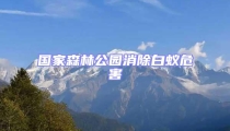 國(guó)家森林公園消除白蟻危害