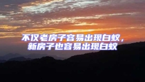 不僅老房子容易出現(xiàn)白蟻，新房子也容易出現(xiàn)白蟻