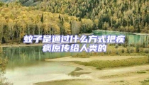 蚊子是通過(guò)什么方式把疾病原傳給人類的
