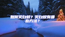 如何滅白蟻？滅白蟻有哪些方法？