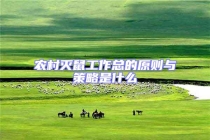 農(nóng)村滅鼠工作總的原則與策略是什么