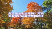 臭蟲是怎么出現(xiàn)的？滅臭蟲公司介紹臭蟲傳播途徑