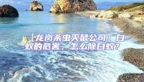 【龍崗殺蟲滅鼠公司】白蟻的危害，怎么除白蟻？
