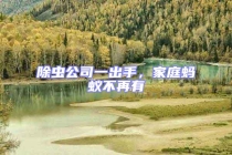 除蟲公司一出手，家庭螞蟻不再有