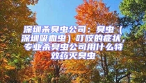 深圳殺臭蟲公司：臭蟲（深圳吸血蟲）叮咬的癥狀，專業(yè)殺臭蟲公司用什么特效藥滅臭蟲