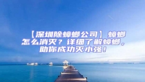 【深圳除蟑螂公司】蟑螂怎么消滅？詳細了解蟑螂，助你成功滅小強！