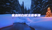 家庭防白蟻?zhàn)⒁馐马?xiàng)