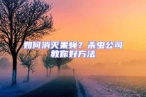 如何消滅果蠅？殺蟲公司教你好方法