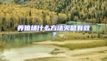 養(yǎng)殖場什么方法滅鼠有效？