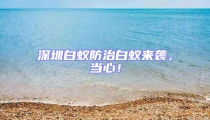 深圳白蟻防治白蟻來(lái)襲，當(dāng)心！
