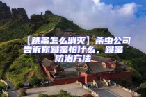 【跳蚤怎么消滅】殺蟲公司告訴你跳蚤怕什么，跳蚤防治方法