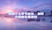 蟑螂什么季節(jié)最多，如何滅蟑螂效果最好