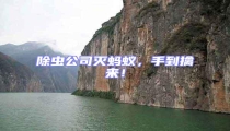 除蟲(chóng)公司滅螞蟻，手到擒來(lái)！